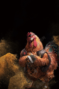 战斗鸡鸡会难得招聘海报背景素材高清图片