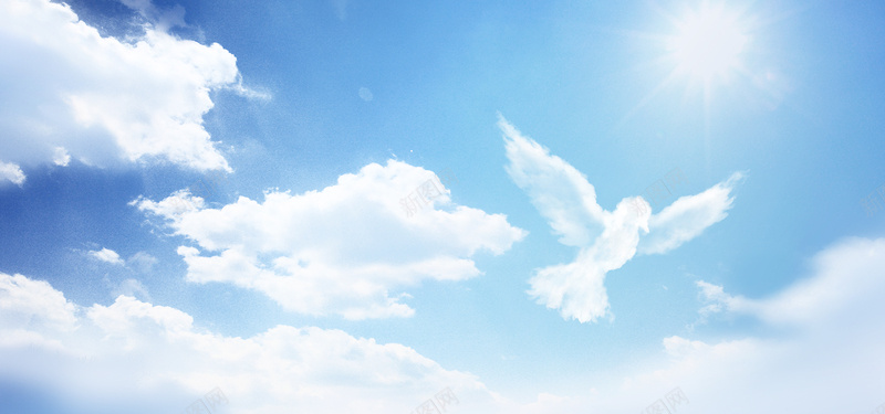 飞鸟和蓝天背景