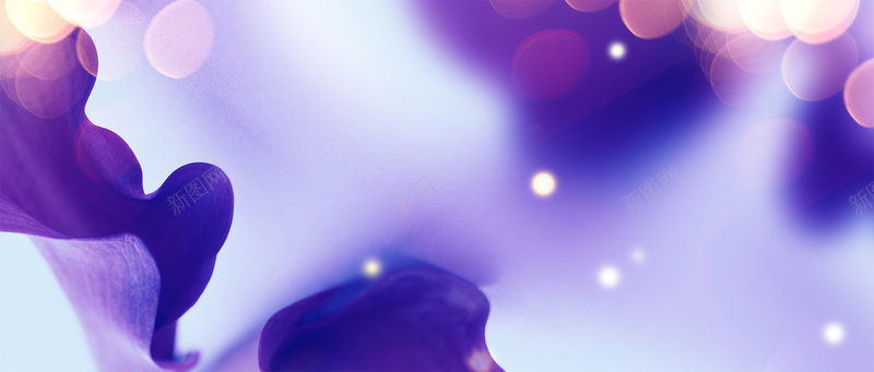 梦幻紫色背景psd设计背景_88icon https://88icon.com 唯美 紫色 色彩 首饰 光 珠宝 钻石 宝石 海报banner 浪漫 梦幻