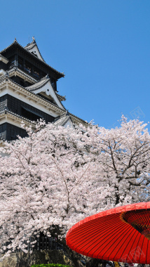 蓝天下的日本建筑H5背景素材背景