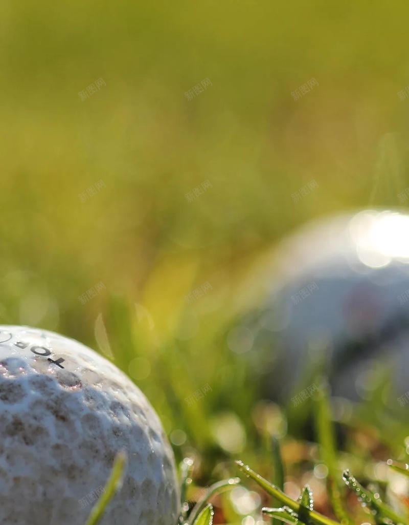 户外高尔夫运动摄影H5背景jpg设计背景_88icon https://88icon.com 户外 高尔夫 运动 摄影 草地 H5背景 高尔夫球 风景