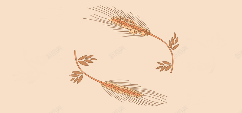 卡通麦穗背景jpg设计背景_88icon https://88icon.com 卡通 成熟 秋天 简约 麦穗 海报banner 童趣 手绘