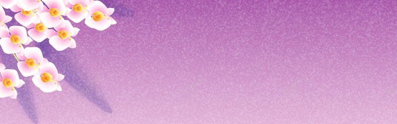 白色花七彩花底纹jpg设计背景_88icon https://88icon.com 背景底纹 漂亮 白色 花朵 紫色背景 海报banner 质感 纹理
