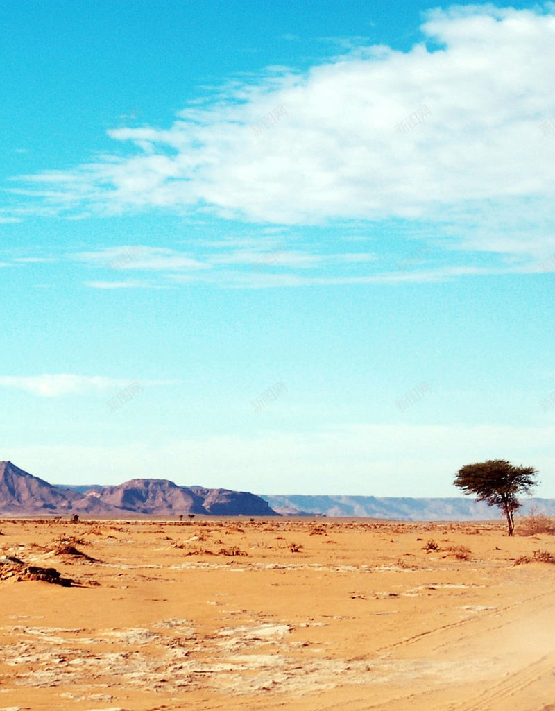 旅行非洲田园H5背景素材jpg设计背景_88icon https://88icon.com 旅行 非洲 沙漠 大气 摄影 H5背景 风景