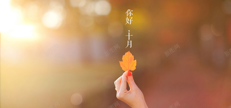 你好十月jpg设计背景_88icon https://88icon.com 秋日 秋天 枫叶 海报banner 浪漫 梦幻