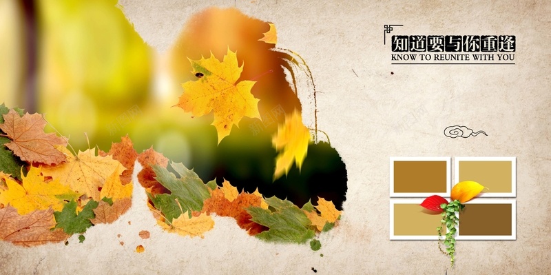 怀旧枫叶同学录海报背景模板jpg设计背景_88icon https://88icon.com 怀旧 枫叶 同学录 海报背景模板 相册 海报模板