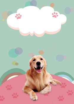 宠物之家开业了宠物店海报背景素材高清图片