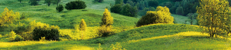 美丽辽阔大草原旅游宣传海报背景素材psd设计背景_88icon https://88icon.com 呼伦贝尔 内蒙古 大草原 蒙古包 草原风情 美丽辽阔大草原 草原旅游 草原宣传 广告设计 海报背景 兴奋