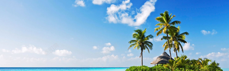 热带蓝天椰树背景背景