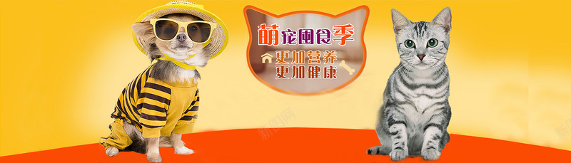 可爱猫狗食物背景jpg设计背景_88icon https://88icon.com 背景食物 可爱 狗粮 猫粮 背景