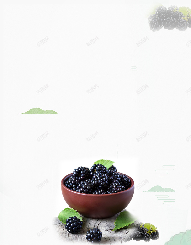 桑葚美食水果促销海报psd设计背景_88icon https://88icon.com 水果海报 夏季 桑叶 桑葚 简约 桑树水果 水果超市 美味 营养