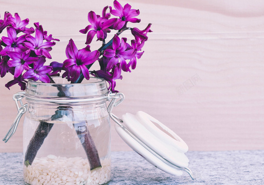 紫色小花背景背景