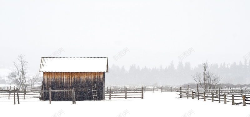 雪中的树森与木屋背景