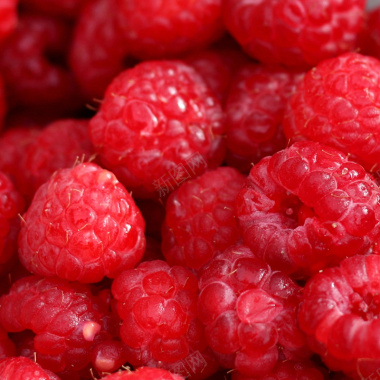 红色树莓背景背景