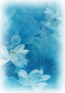 蓝色花背景图背景