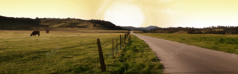 田园道路背景jpg设计背景_88icon https://88icon.com 田野背景 田园背景 道路背景 天空背景 日出背景 牲畜背景 日落背景 海报banner 摄影 风景