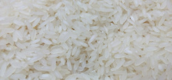 亚洲美食亚洲水稻高清图片