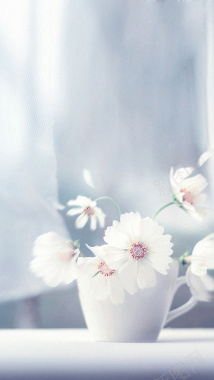 白色花卉H5背景背景