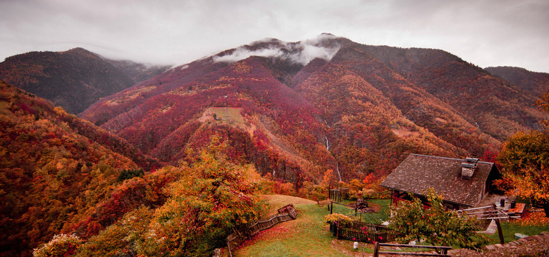 枫叶山区风景jpg设计背景_88icon https://88icon.com 海报banner 摄影 风景 枫叶山区风景秋天