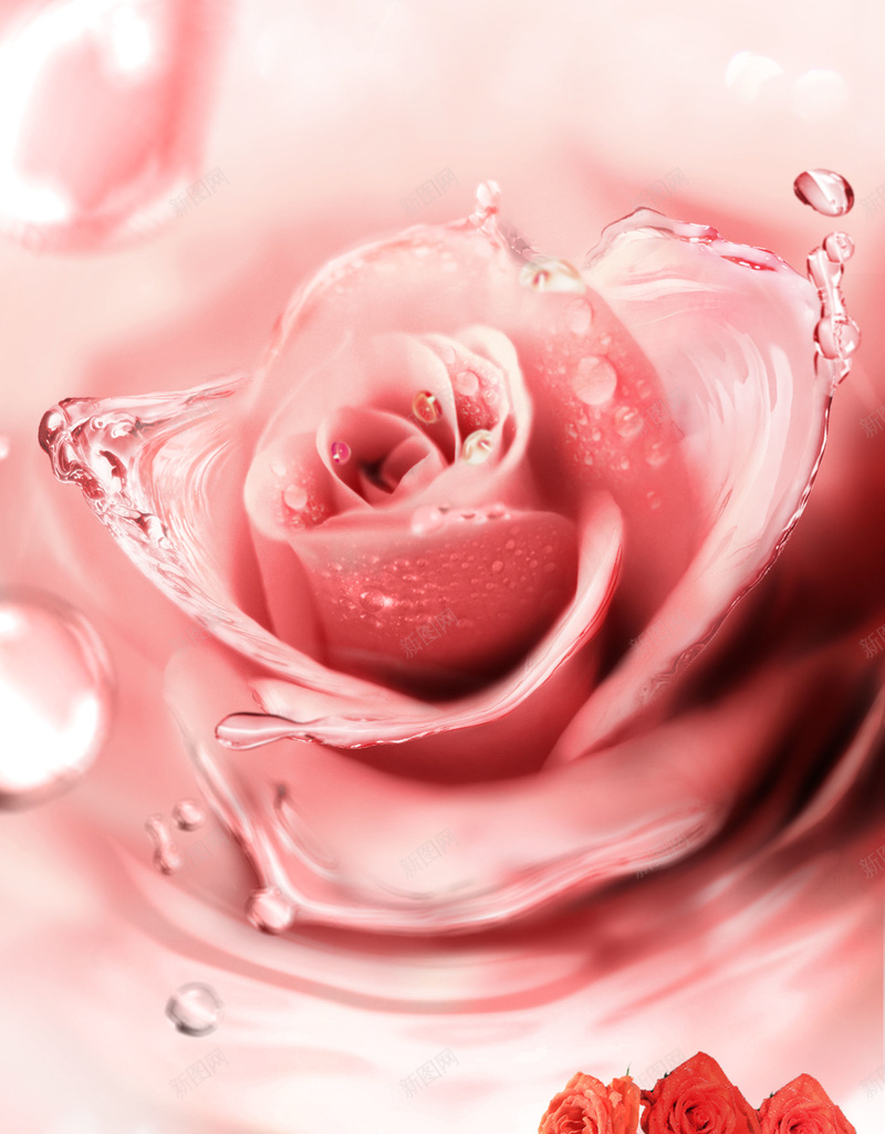 粉色牡丹花卉海报背景psd设计背景_88icon https://88icon.com 喜庆 牡丹 红色 花卉 花 海报素材背景 文艺 小清新 简约