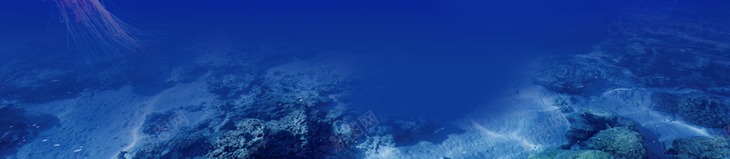 创意海岛旅行旅游海报psd设计背景_88icon https://88icon.com 蜜月海岛游 海岛游 度假 旅游 海边 海 飞机 椰树 蓝色 简约