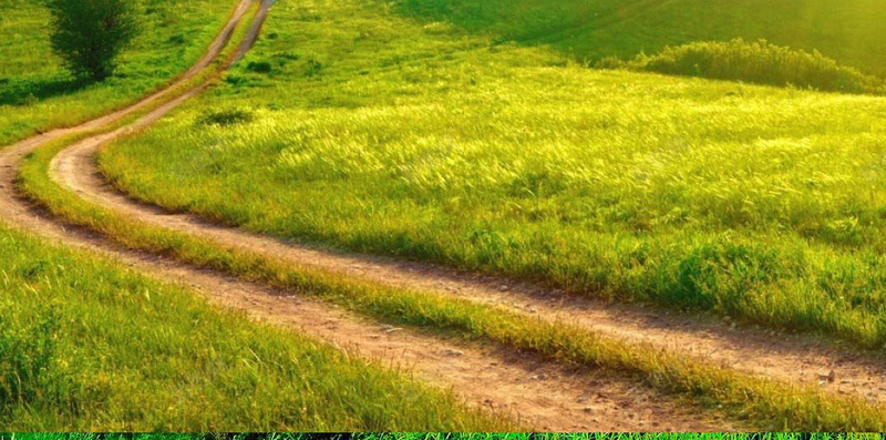 农场乡间小道H5背景jpg设计背景_88icon https://88icon.com 农场 乡间 小道 草地 蓝天 H5背景 青色 摄影 风景