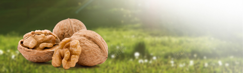 核桃banner创意设计jpg设计背景_88icon https://88icon.com 食品 水果 风景 淘宝 节日 1920PX 环保 海报banner 其他