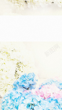 蓝白色花卉H5背景背景