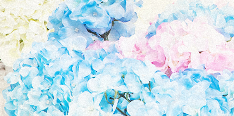蓝白色花卉H5背景jpg设计背景_88icon https://88icon.com 蓝白色 女装 扁平 浪漫 花卉 H5背景 H5 h5 渐变 几何