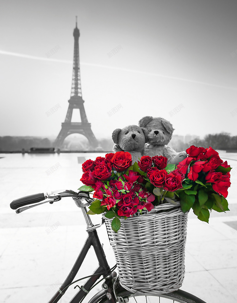 黑白调子中的红玫瑰jpg设计背景_88icon https://88icon.com 摄影 埃菲尔铁塔 自行车 红玫瑰 黑白 对比 喜欢 风景
