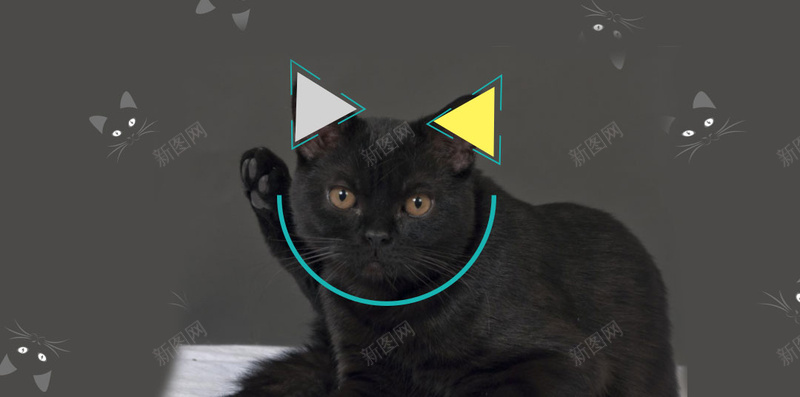 黑夜猫咪卡通童趣背景jpg设计背景_88icon https://88icon.com 卡通 猫咪 童趣 黑夜 黑色 H5背景 其他 手绘