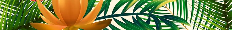 卡通手绘夏季棕榈叶海滩上新背景素材eps设计背景_88icon https://88icon.com 棕榈叶 卡通 夏季 手绘 海滩 上新 背景 素材