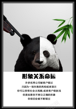 企业文化宣传熊猫海报背景素材背景