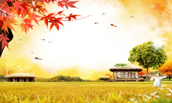 韩国秋天背景秋天金秋韩国枫树印刷背景高清图片