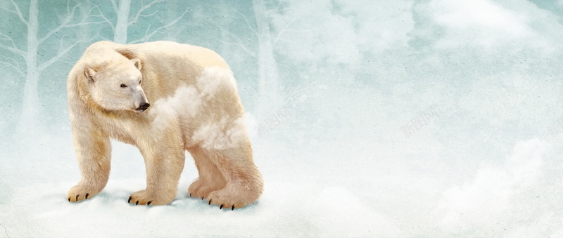彩铅背景动物分层北极熊背景