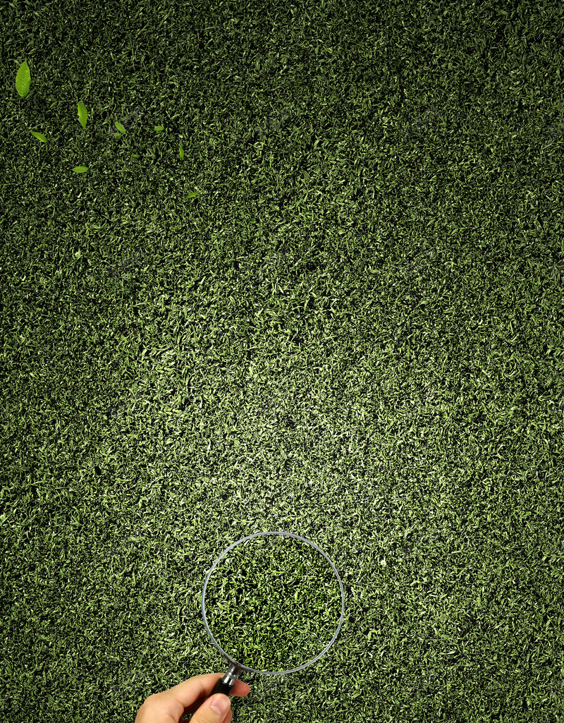 放大镜绿草地清新手掌背景素材psd设计背景_88icon https://88icon.com 背景素材 放大镜 绿草地 手掌 清新 文艺 小清新 简约