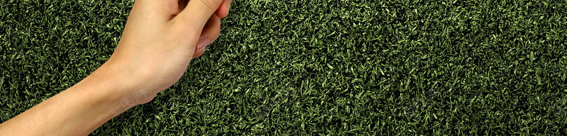 放大镜绿草地清新手掌背景素材psd设计背景_88icon https://88icon.com 背景素材 放大镜 绿草地 手掌 清新 文艺 小清新 简约