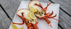 龙虾原料美味的大龙虾美食高清图片高清图片