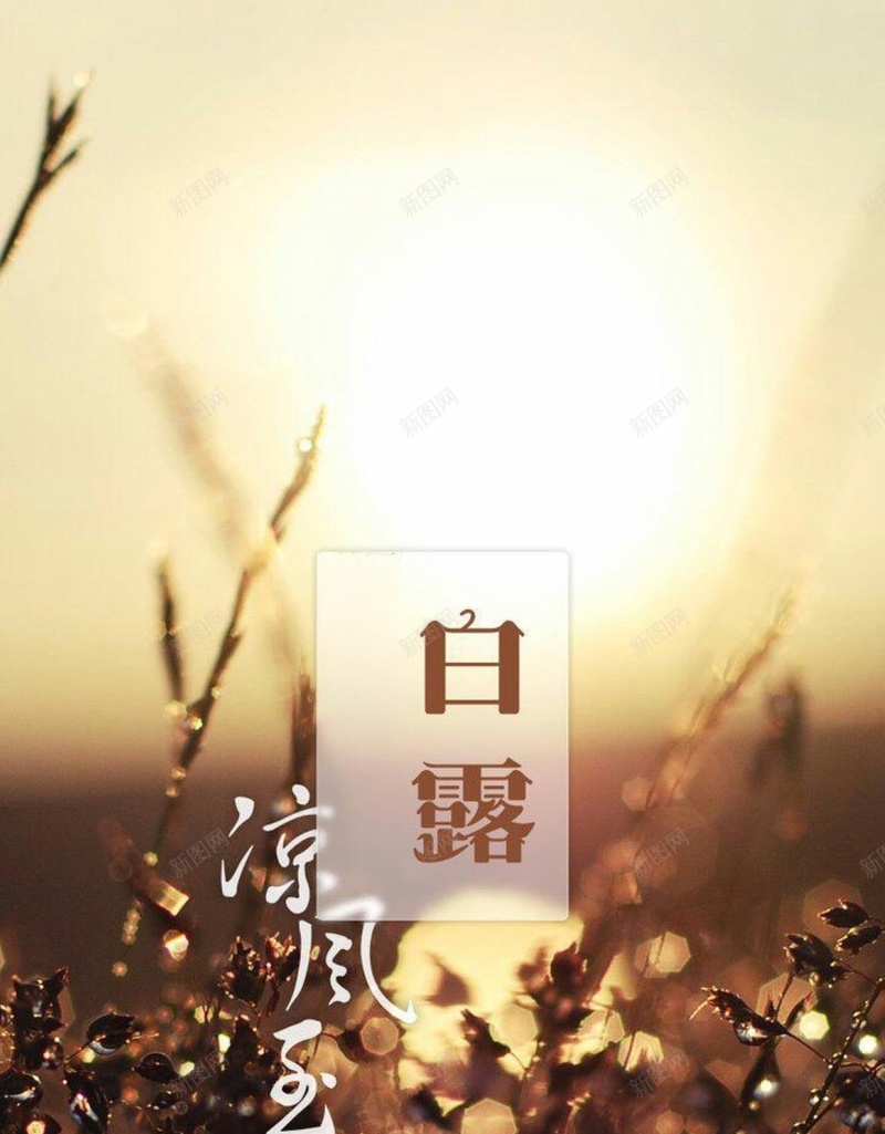 黄昏H5背景jpg设计背景_88icon https://88icon.com 文艺 白露 节气 H5背景