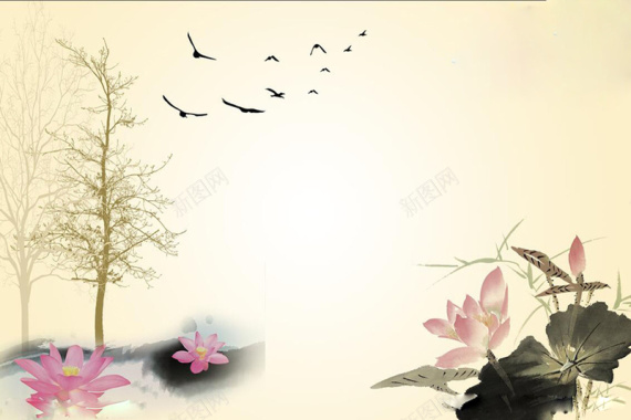 中国风荷花杨树飞鸟背景素材背景