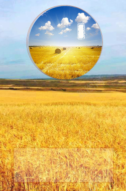 小麦金黄色立秋二十四节气海报背景素材背景