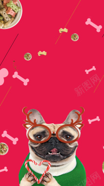 红色小清新宠物美容海报H5背景素材背景