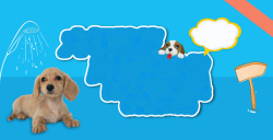 蓝色标牌宠物医疗美容护理广告背景高清图片