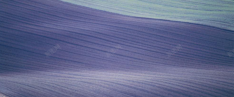 紫色波浪纹理质感图背景