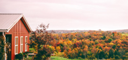 秋季自然风光秋季旅游景区背景高清图片