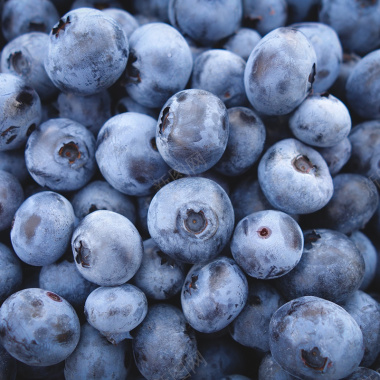 新鲜蓝莓背景背景
