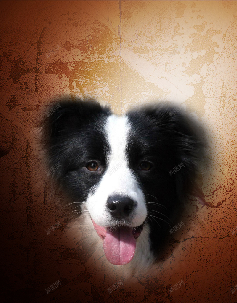 黑色渐变背景上的狗头像H5素材背景psd设计背景_88icon https://88icon.com 黑色背景 动物 头像 渐变 狗 宠物 皮毛 H5素材 PSD背景