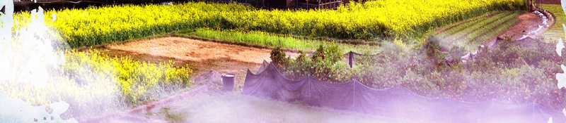 旅游桂林山水甲天下风景海报psd设计背景_88icon https://88icon.com 旅游 桂林 山水甲天下 风景 海报