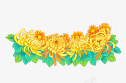重阳节菊花手绘素材