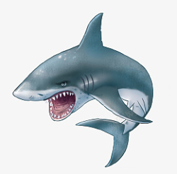 卡通高清PNG鲨鱼图片1素材